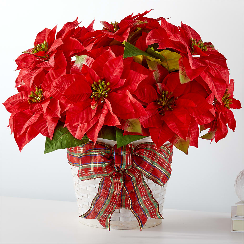 Happiest Holidays Poinsettia – La Veranera Flower Shop, Nashville TN