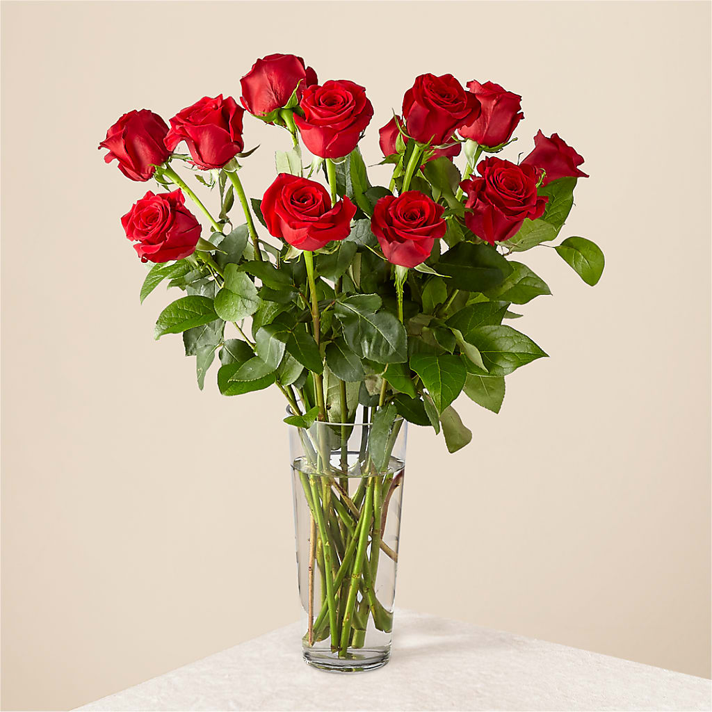 Long Stem Red Rose Bouquet – La Veranera Flower Shop, Nashville TN