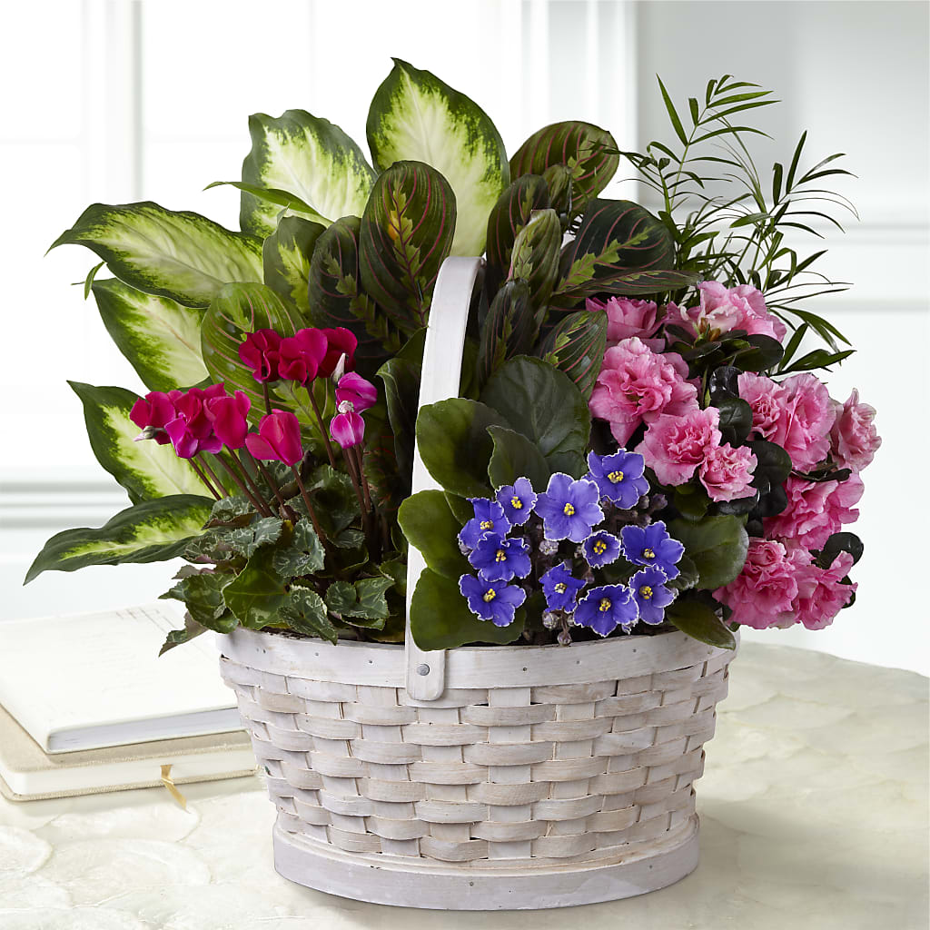Peaceful Garden Planter – La Veranera Flower Shop, Nashville TN