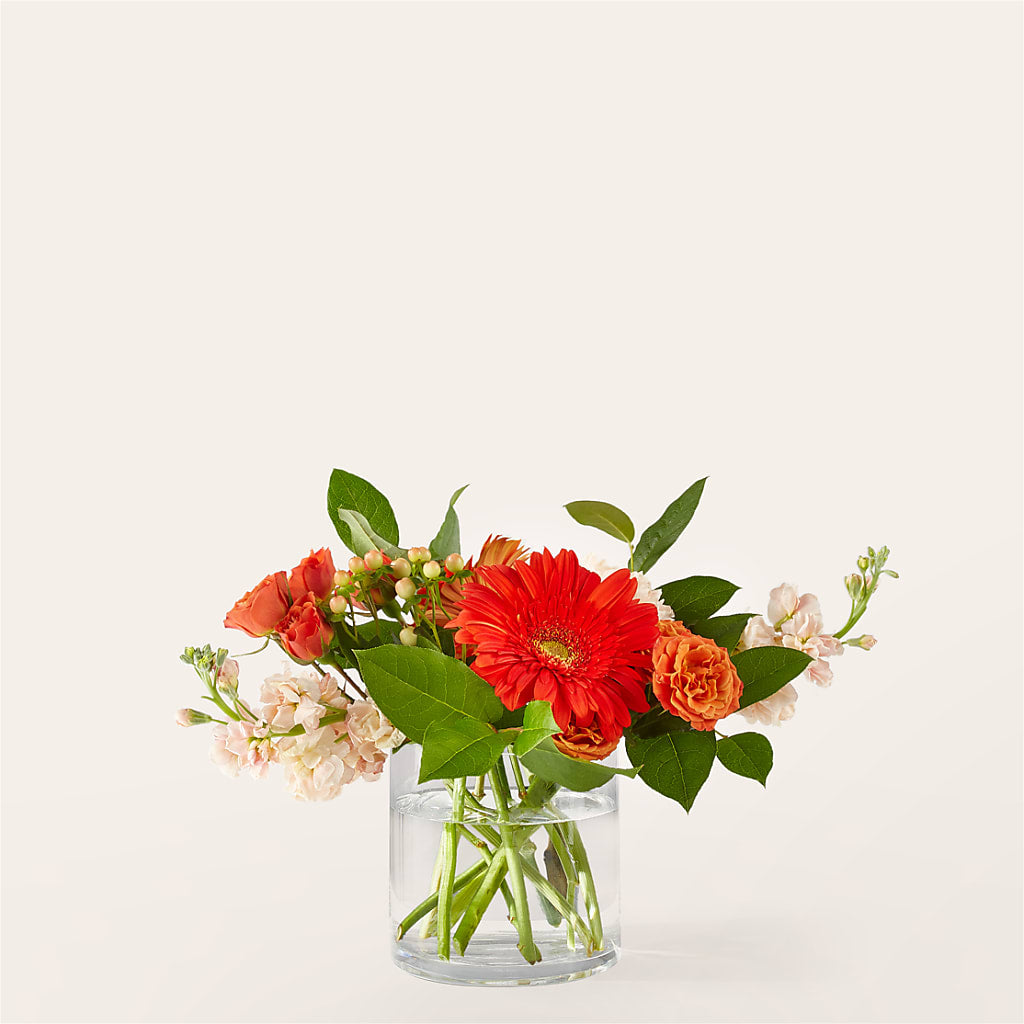 Paloma Please Bouquet – La Veranera Flower Shop, Nashville TN