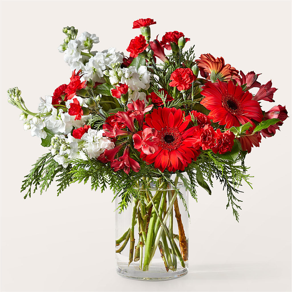 Holidaisy Bouquet – La Veranera Flower Shop, Nashville TN