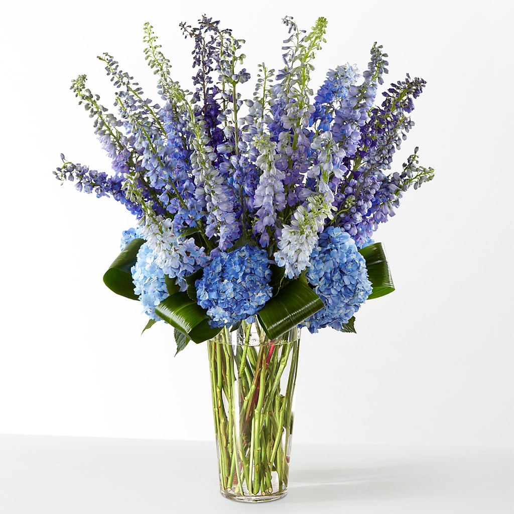 The Editorial – La Veranera Flower Shop, Nashville TN