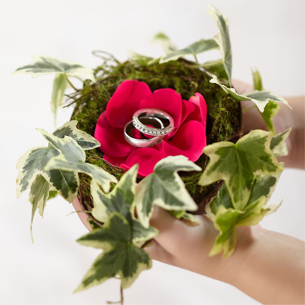 Lila Rose Ring Nest – La Veranera Flower Shop, Nashville TN