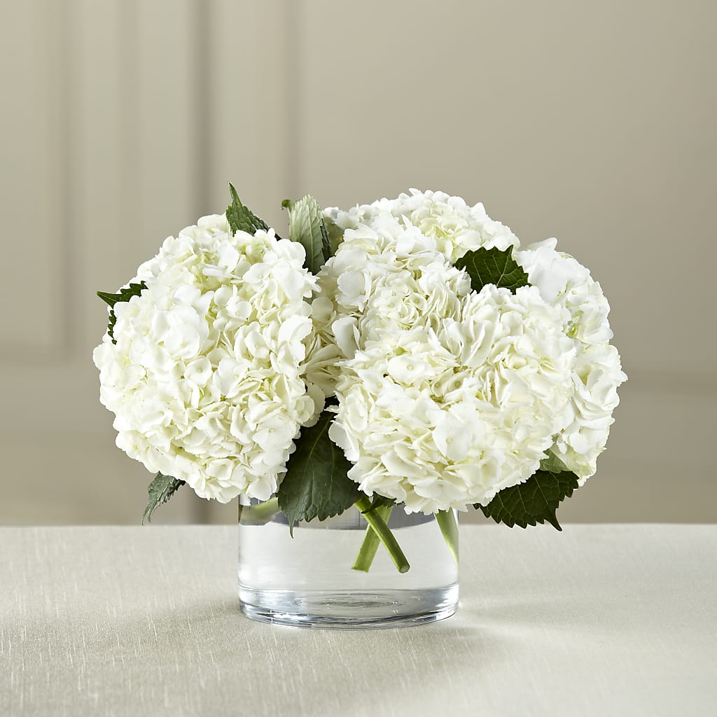 White Hydrangea Bouquet – La Veranera Flower Shop, Nashville TN