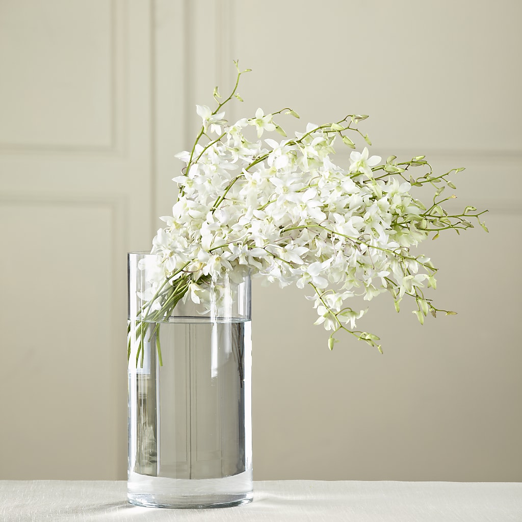 White Dendrobium Bouquet – La Veranera Flower Shop, Nashville TN
