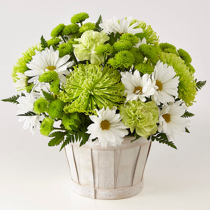 Lucky Charm Basket (Standard) –  La Veranera Flower Shop, Nashville TN