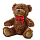 Adorable Plush Bear –  La Veranera Flower Shop, Nashville TN