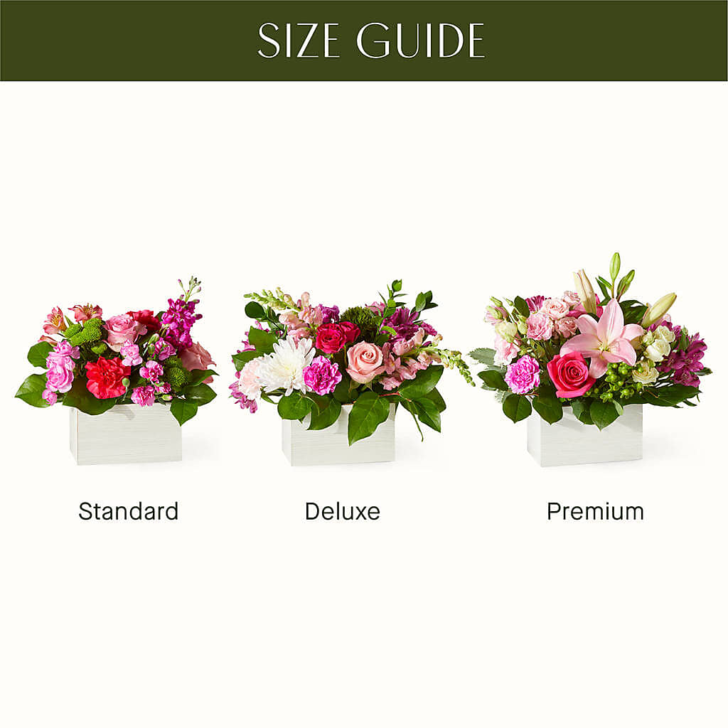Sweetberry Box – A Florist Original –  La Veranera Flower Shop, Nashville TN