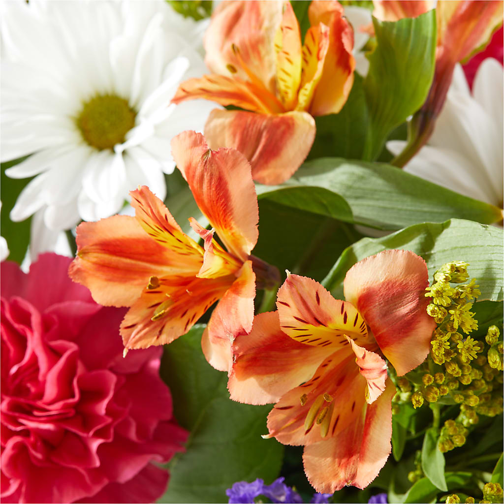 Oopsie Daisy Box Bouquet –  La Veranera Flower Shop, Nashville TN