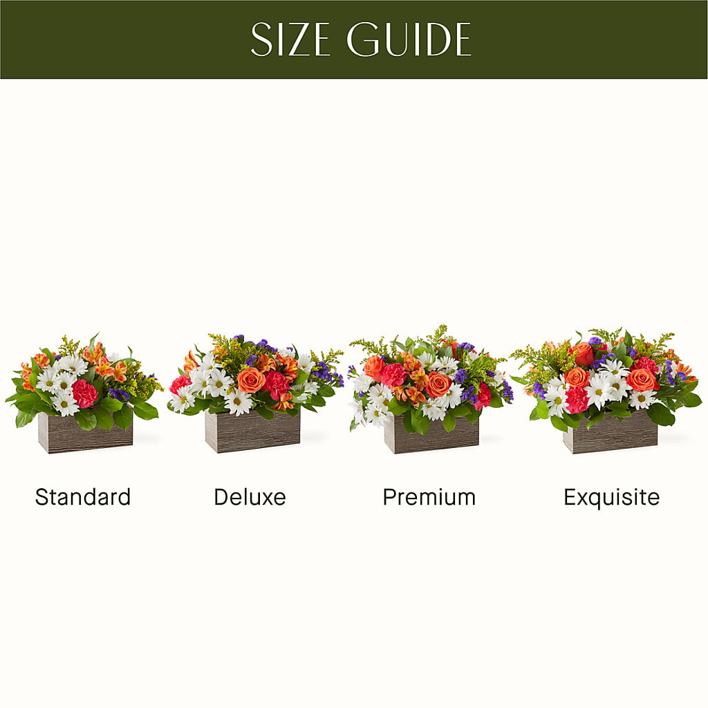 Oopsie Daisy Box Bouquet –  La Veranera Flower Shop, Nashville TN
