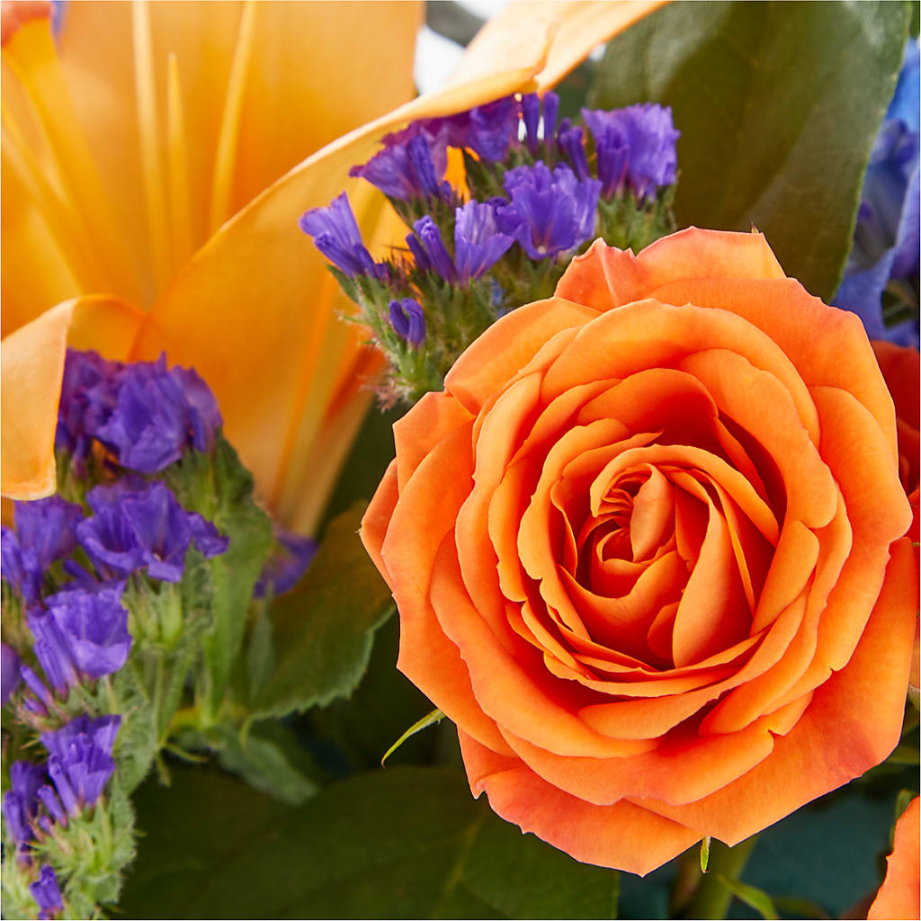 Radiant Citrus Box Bouquet –  La Veranera Flower Shop, Nashville TN