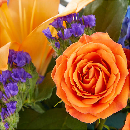 Radiant Citrus Box Bouquet –  La Veranera Flower Shop, Nashville TN
