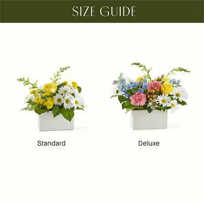 Sun Salutation Box Bouquet –  La Veranera Flower Shop, Nashville TN