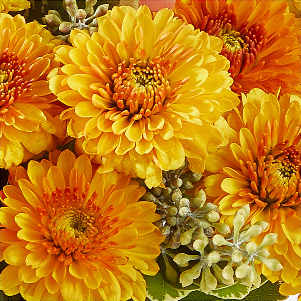 Peachy Pumpkin –  La Veranera Flower Shop, Nashville TN