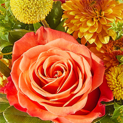 Gourdgeous Pumpkin –  La Veranera Flower Shop, Nashville TN