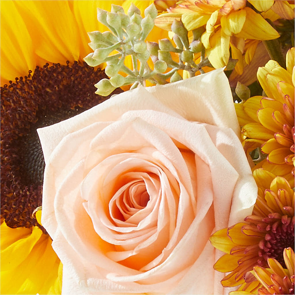 Pumpkin to Talk About Bouquet –  La Veranera Flower Shop, Nashville TN