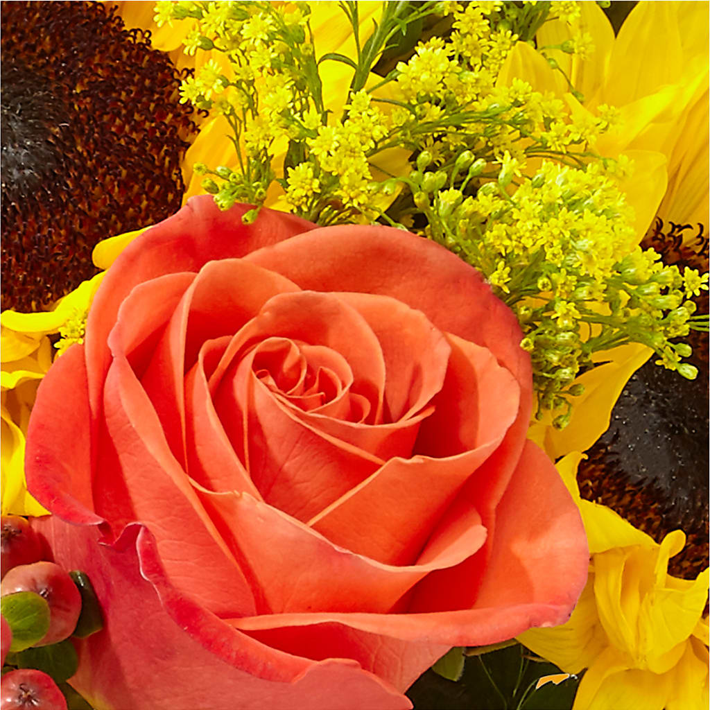 Pick of the Patch Pumpkin Bouquet –  La Veranera Flower Shop, Nashville TN