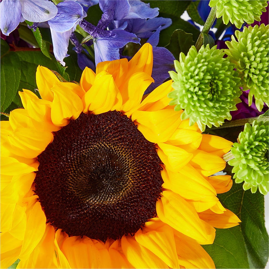 Catching Rays Bouquet –  La Veranera Flower Shop, Nashville TN