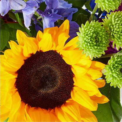 Catching Rays Bouquet –  La Veranera Flower Shop, Nashville TN