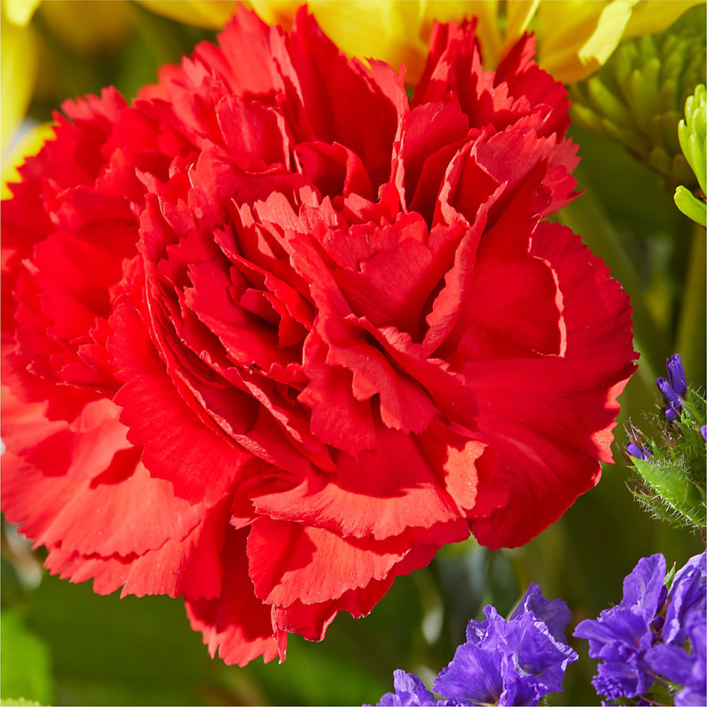 Brighter Days Bouquet –  La Veranera Flower Shop, Nashville TN
