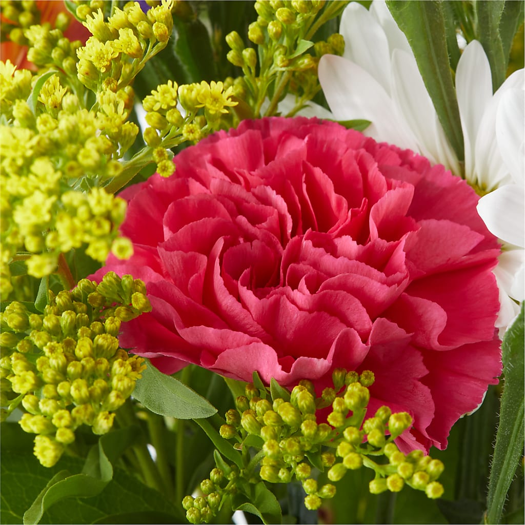 Oopsie Daisy Bouquet –  La Veranera Flower Shop, Nashville TN