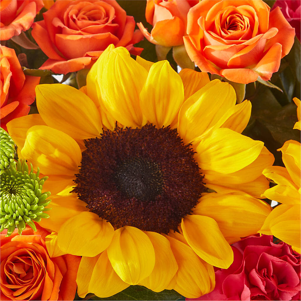 Sun-drenched Blooms Box Bouquet –  La Veranera Flower Shop, Nashville TN