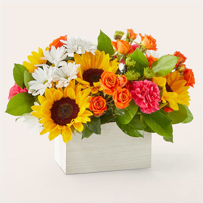 Sun-drenched Blooms Box Bouquet –  La Veranera Flower Shop, Nashville TN