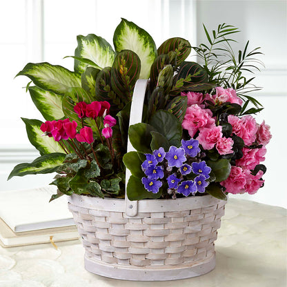 Peaceful Garden Planter –  La Veranera Flower Shop, Nashville TN