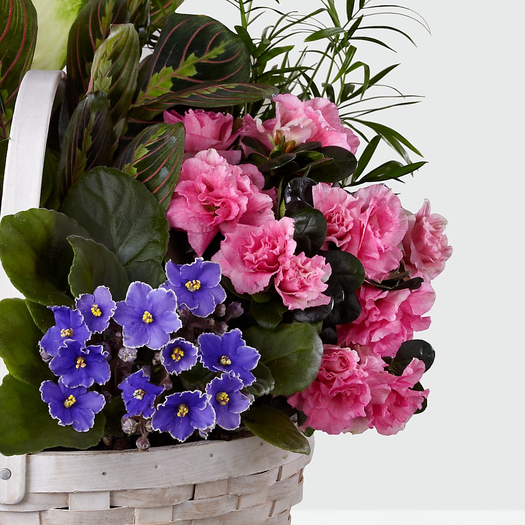 Peaceful Garden Planter –  La Veranera Flower Shop, Nashville TN