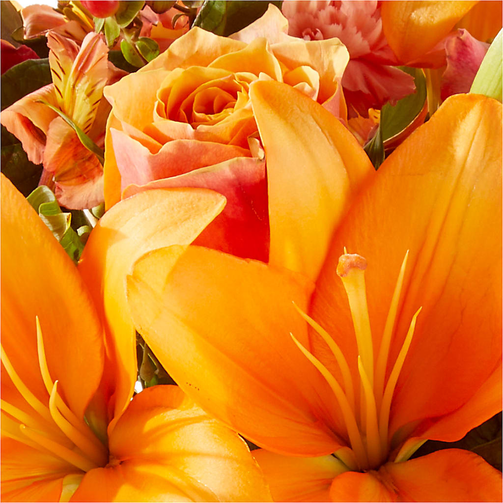 Afternoon Light Bouquet –  La Veranera Flower Shop, Nashville TN