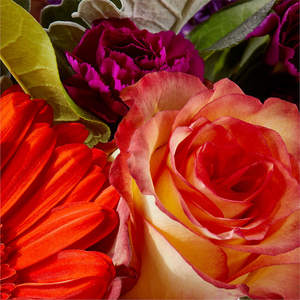 Sangria Bouquet –  La Veranera Flower Shop, Nashville TN