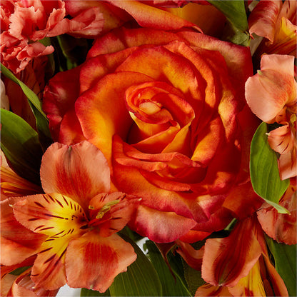 Apricot Glow Bouquet –  La Veranera Flower Shop, Nashville TN