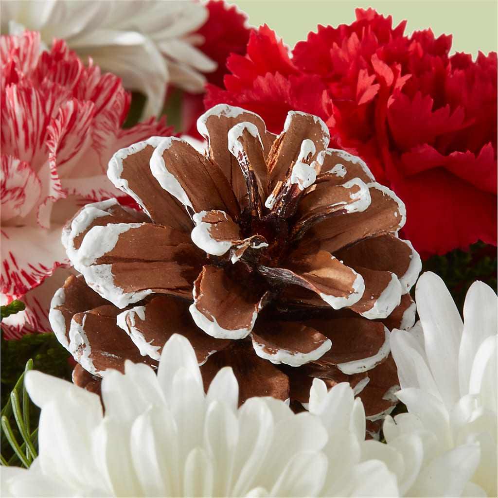 Candy Cane Lane Bouquet –  La Veranera Flower Shop, Nashville TN