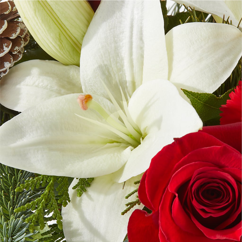 Oh So Jolly Bouquet –  La Veranera Flower Shop, Nashville TN