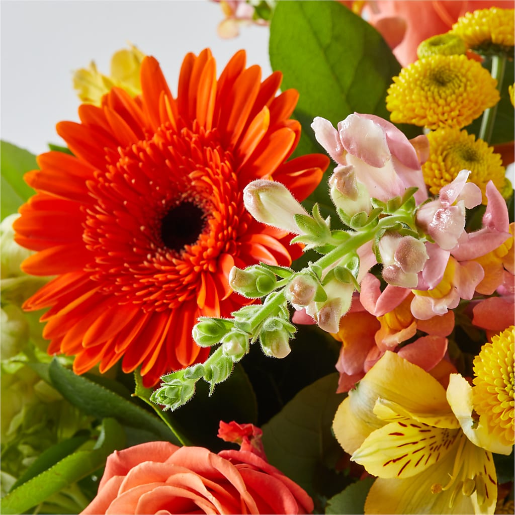 Autumn Sunshine Bouquet –  La Veranera Flower Shop, Nashville TN