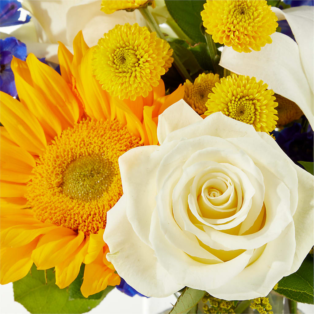 Stargazing Bouquet –  La Veranera Flower Shop, Nashville TN