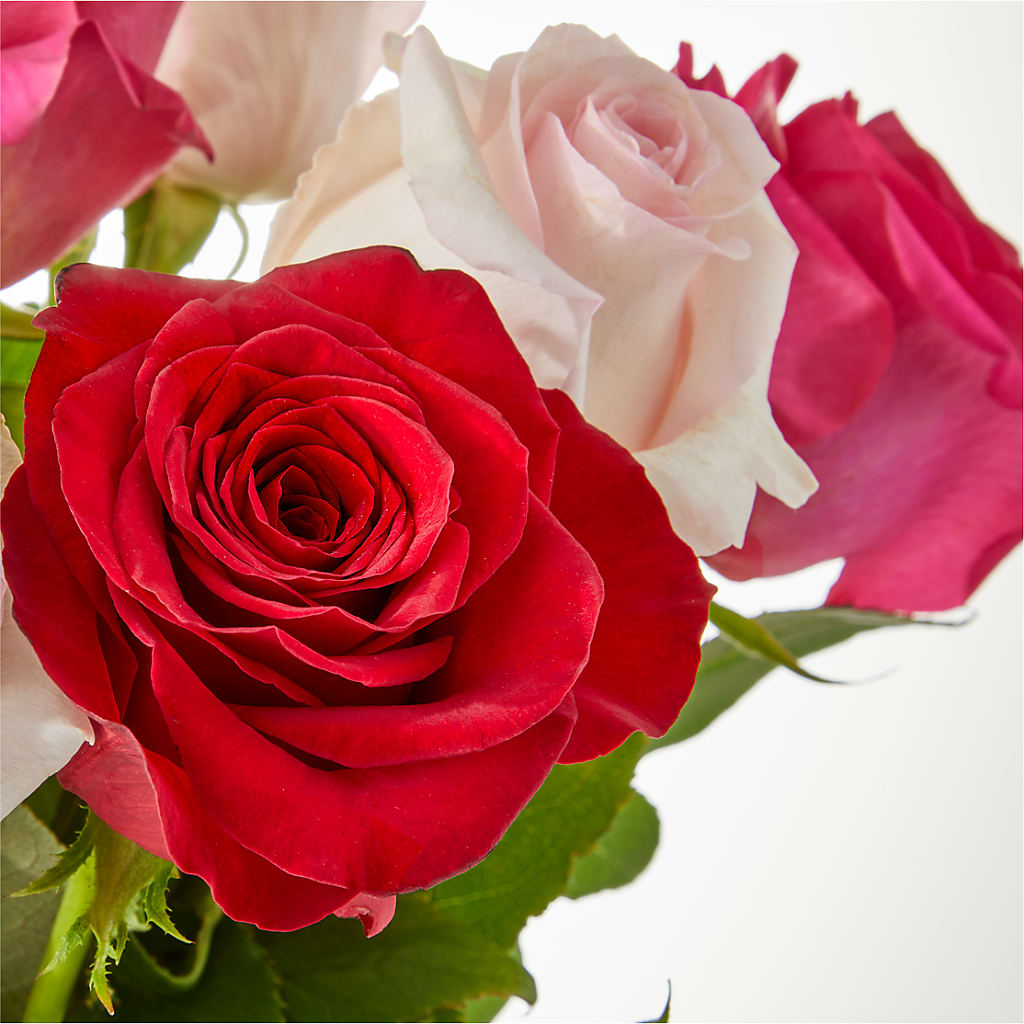 Charming Rose Bouquet –  La Veranera Flower Shop, Nashville TN