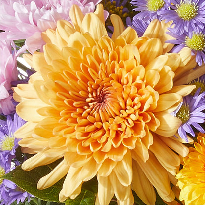 Countryside Bouquet –  La Veranera Flower Shop, Nashville TN