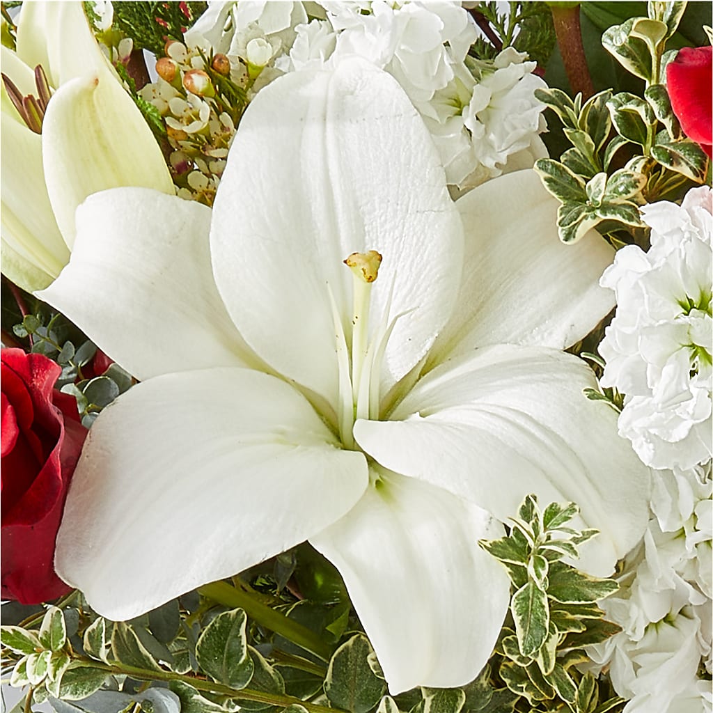 Twinkle Lights Bouquet –  La Veranera Flower Shop, Nashville TN