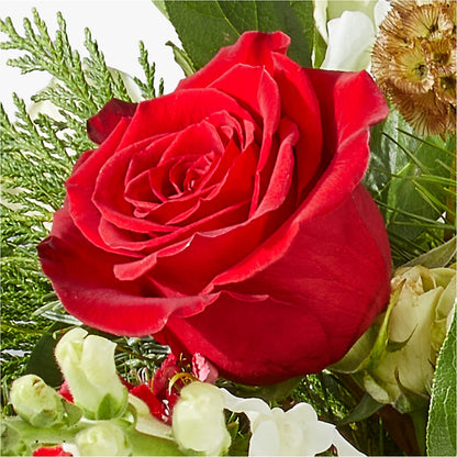 Deck the Halls Bouquet –  La Veranera Flower Shop, Nashville TN