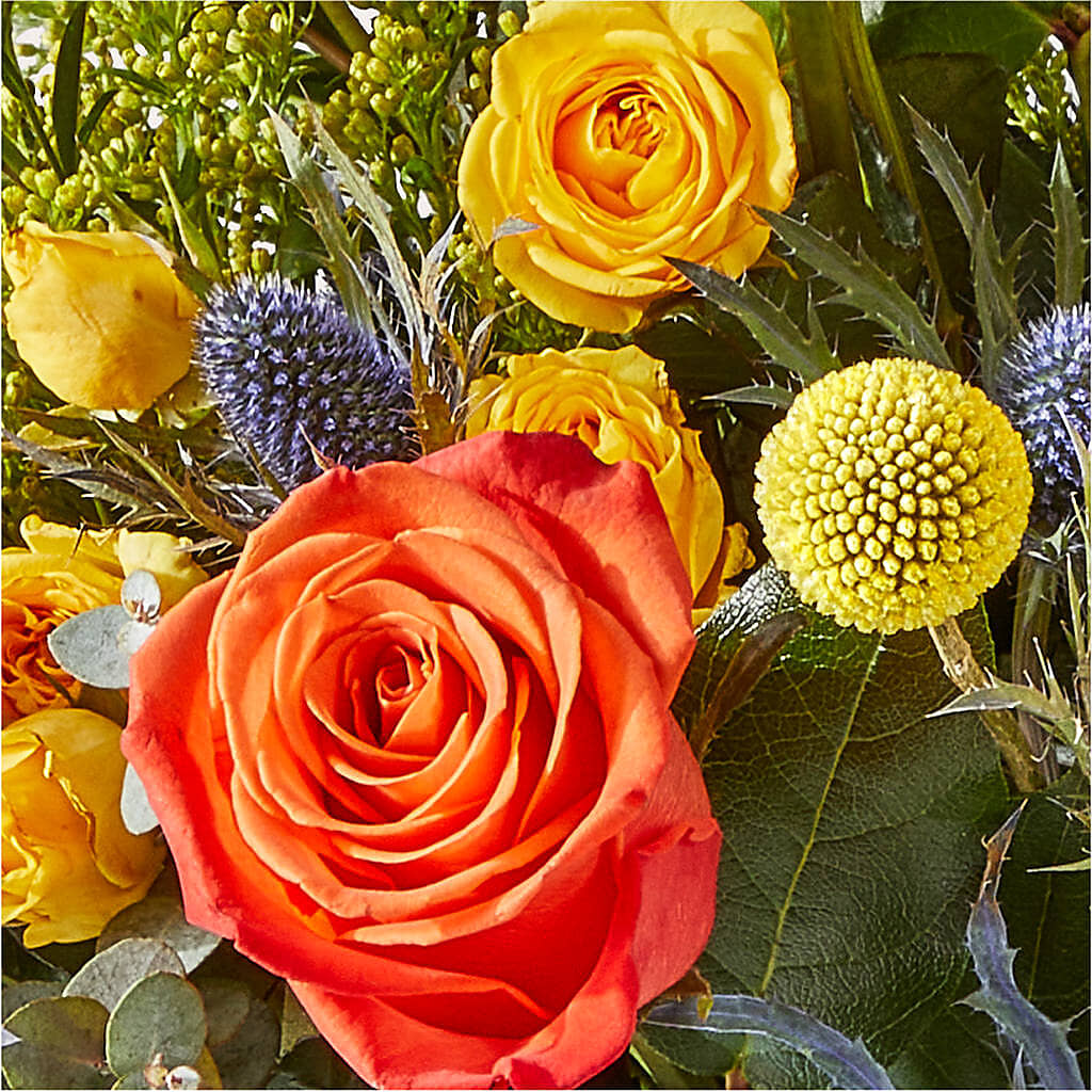 Disco Bouquet –  La Veranera Flower Shop, Nashville TN