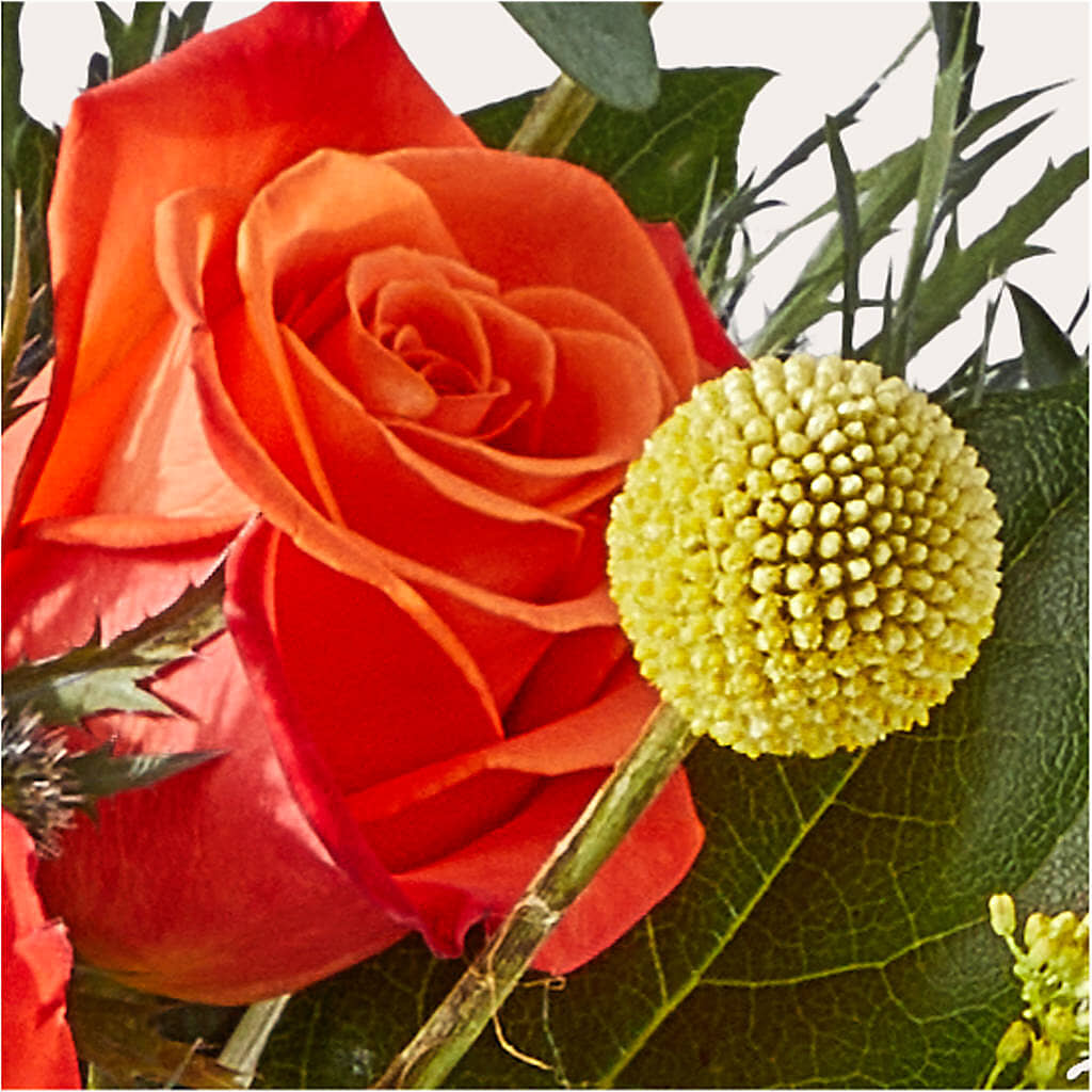 Disco Bouquet –  La Veranera Flower Shop, Nashville TN