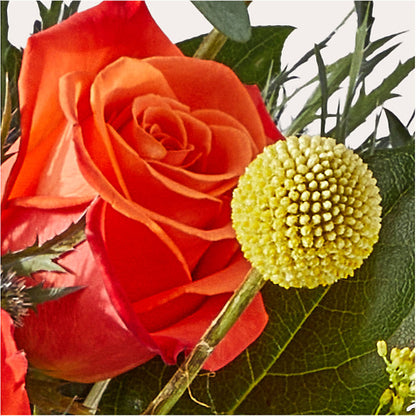 Disco Bouquet –  La Veranera Flower Shop, Nashville TN