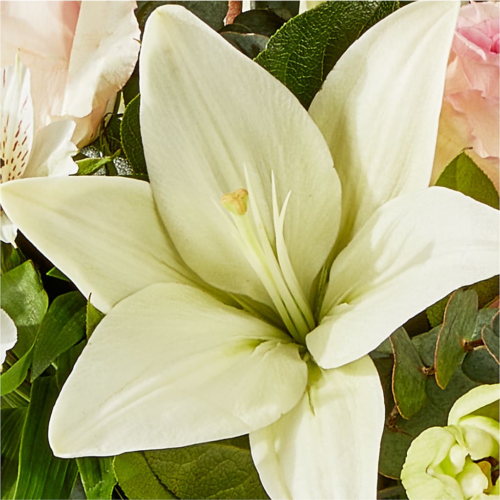 Ballet Slippers Bouquet –  La Veranera Flower Shop, Nashville TN