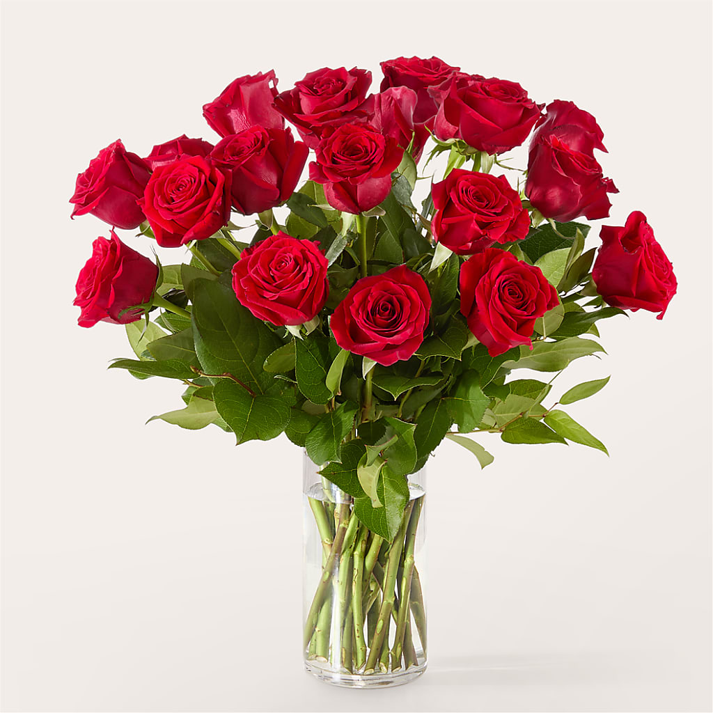 The One Red Rose Bouquet –  La Veranera Flower Shop, Nashville TN