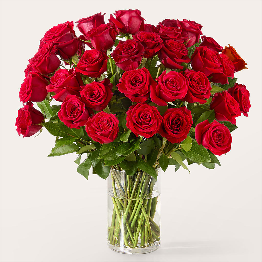 The One Red Rose Bouquet –  La Veranera Flower Shop, Nashville TN