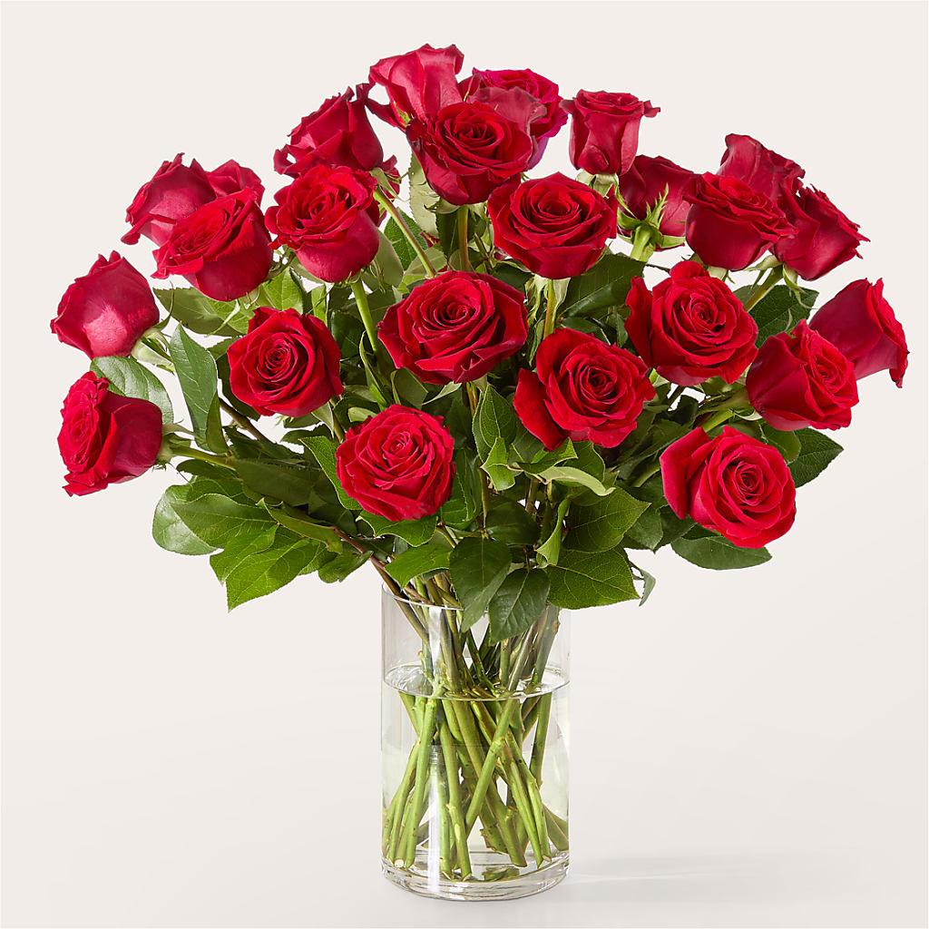 The One Red Rose Bouquet –  La Veranera Flower Shop, Nashville TN