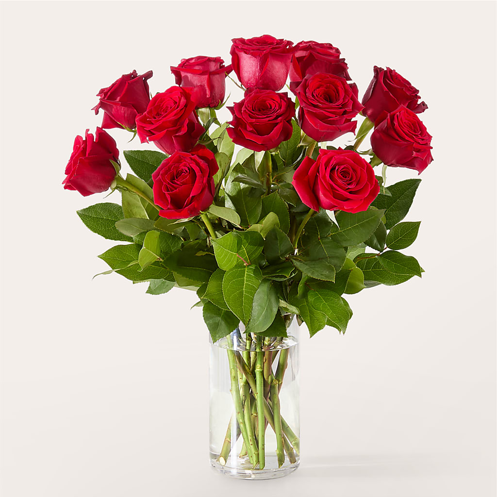 The One Red Rose Bouquet –  La Veranera Flower Shop, Nashville TN
