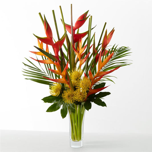 The Drama –  La Veranera Flower Shop, Nashville TN