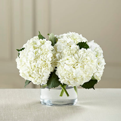 White Hydrangea Bouquet –  La Veranera Flower Shop, Nashville TN
